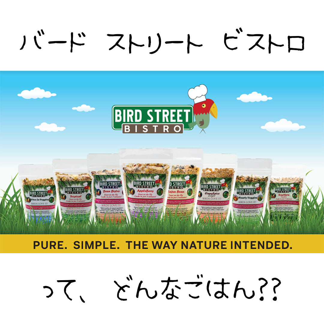 BIRD STREET BISTROの紹介!