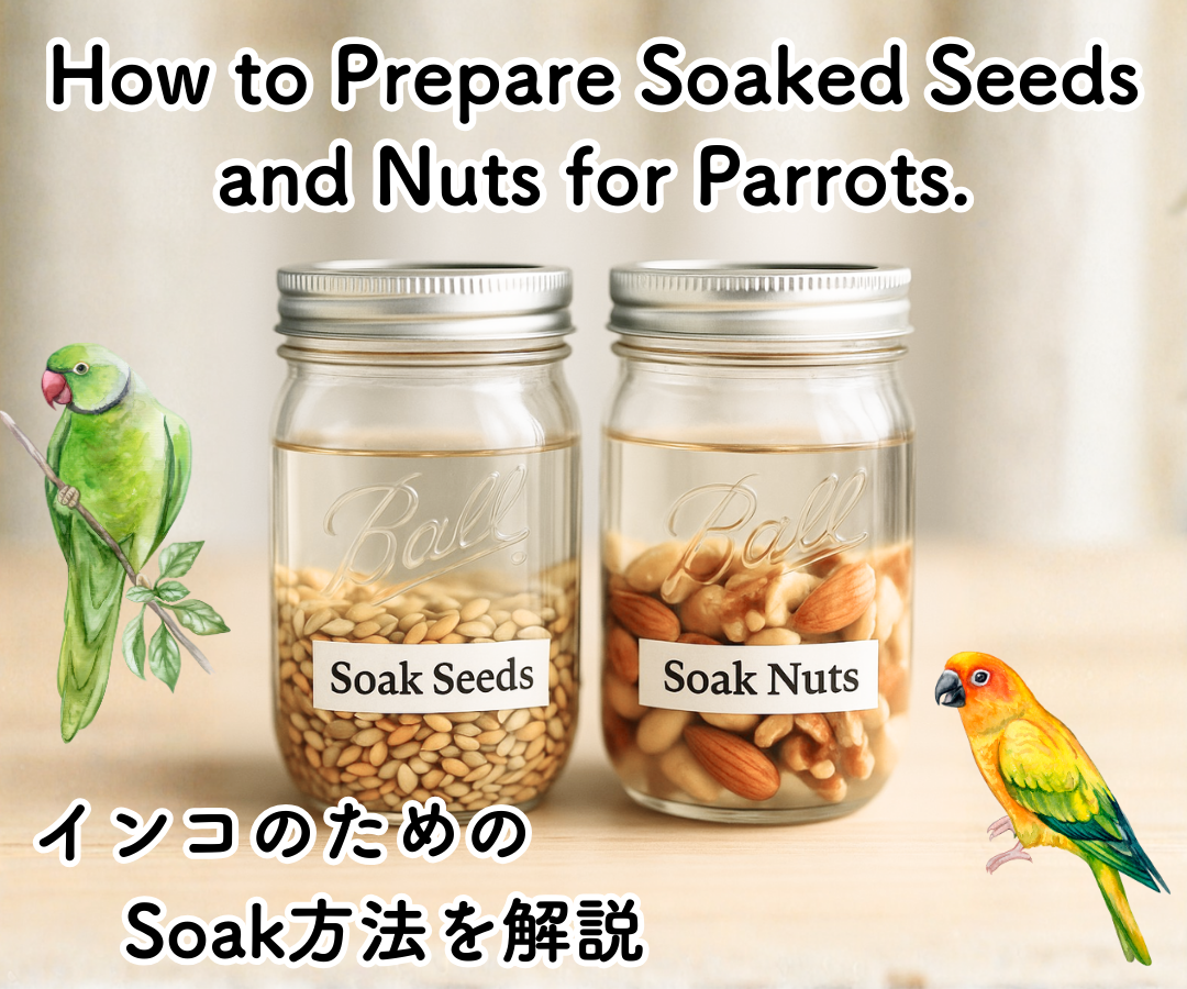 How to Prepare Soaked Seeds and Nuts for Parrots.