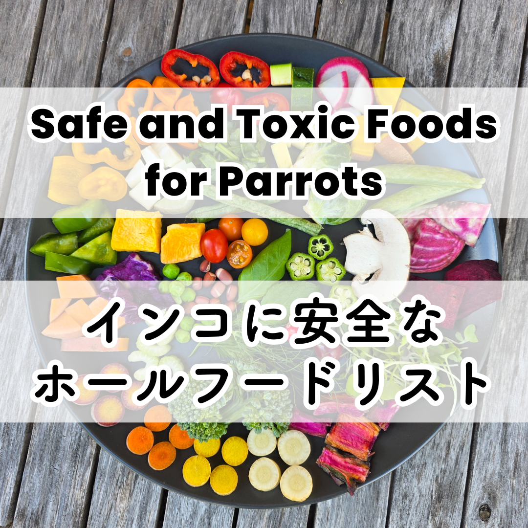 Plate with assorted cut vegetables and fruit pieces arranged on a round dish, overlaid with the title “Safe and Toxic Foods for Parrots,” illustrating a whole-food bird food and parrot food reference.