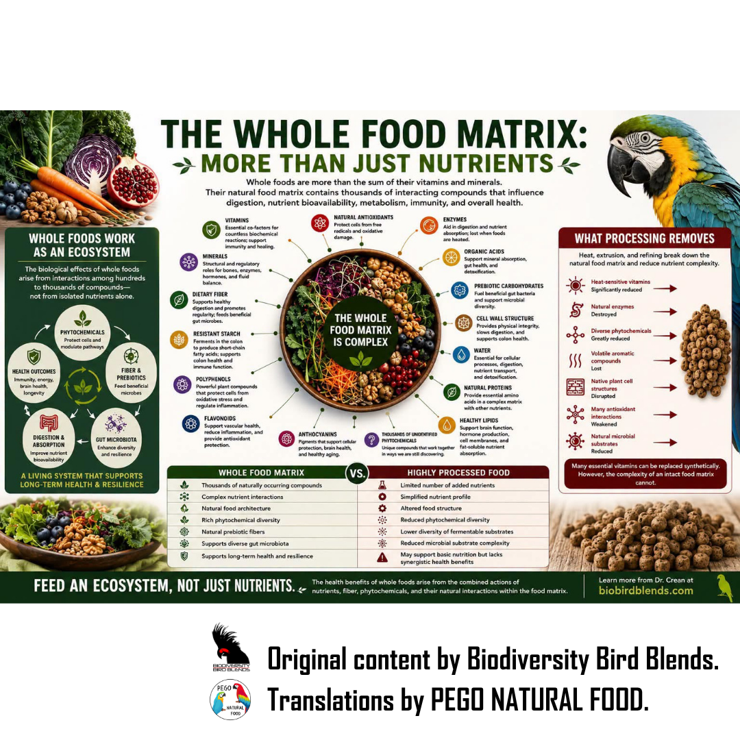 THE WHOLE FOOD MATRIX: MORE THAN JUST NUTRIENTS