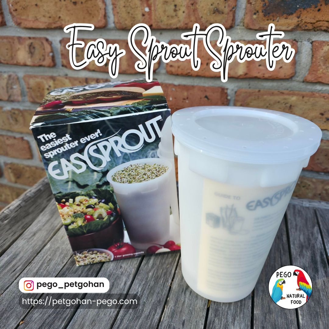 発芽容器/Easy Sprout Sprouter