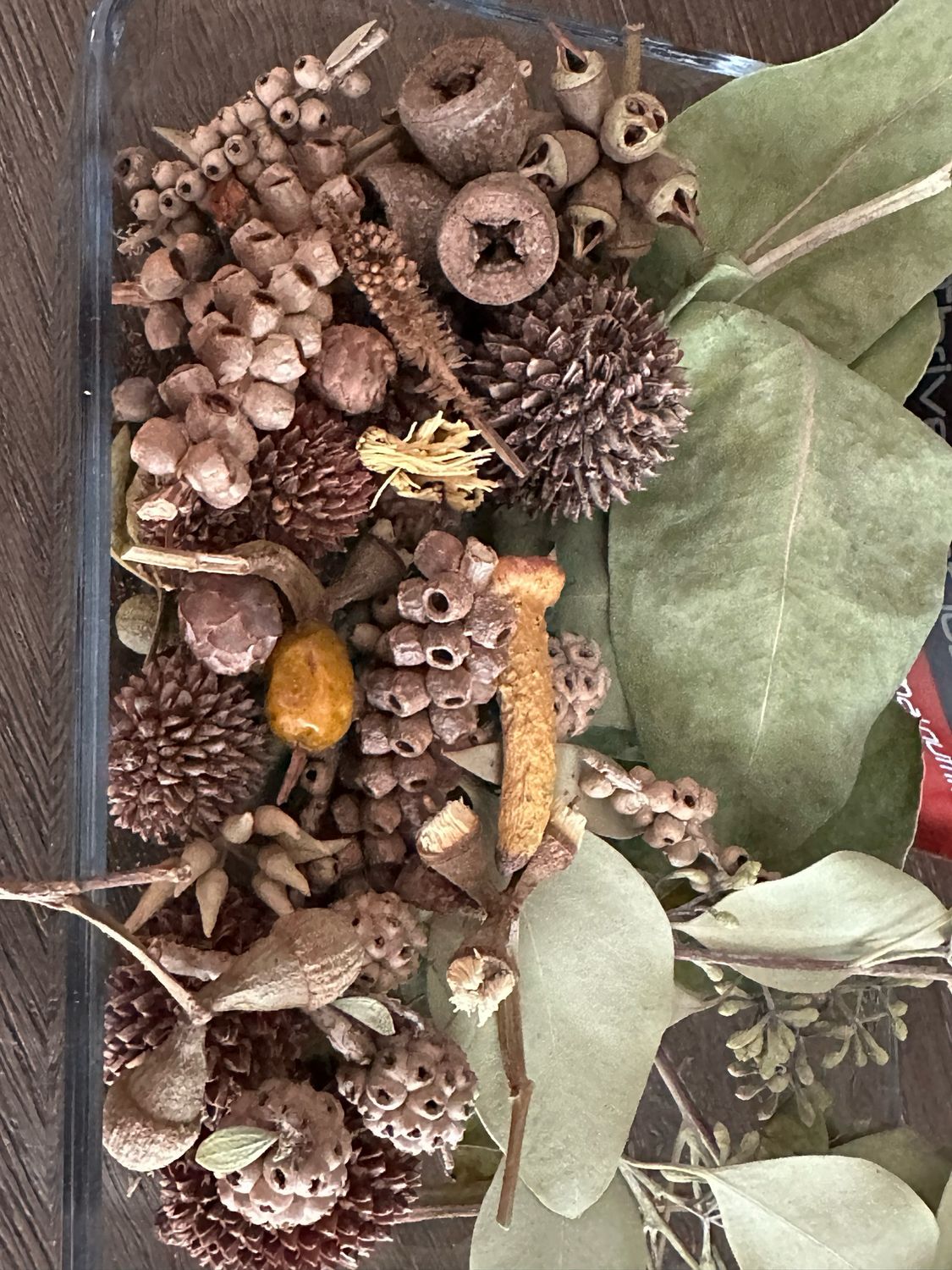 Biodiversity Go Wild! CHUNKY Down Under! Australian Foraging Blend