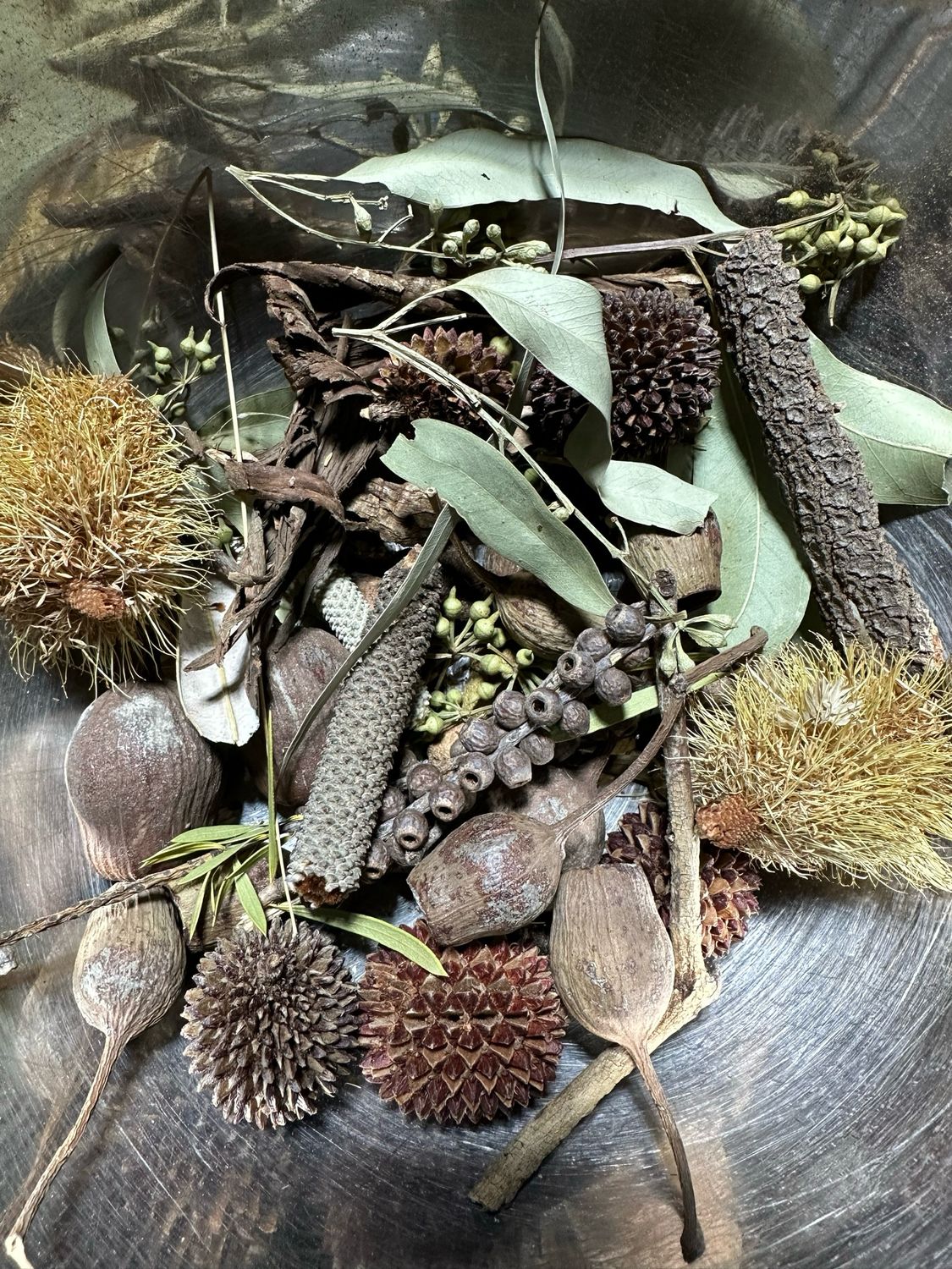 Biodiversity Go Wild! CHUNKY Down Under! Australian Foraging Blend