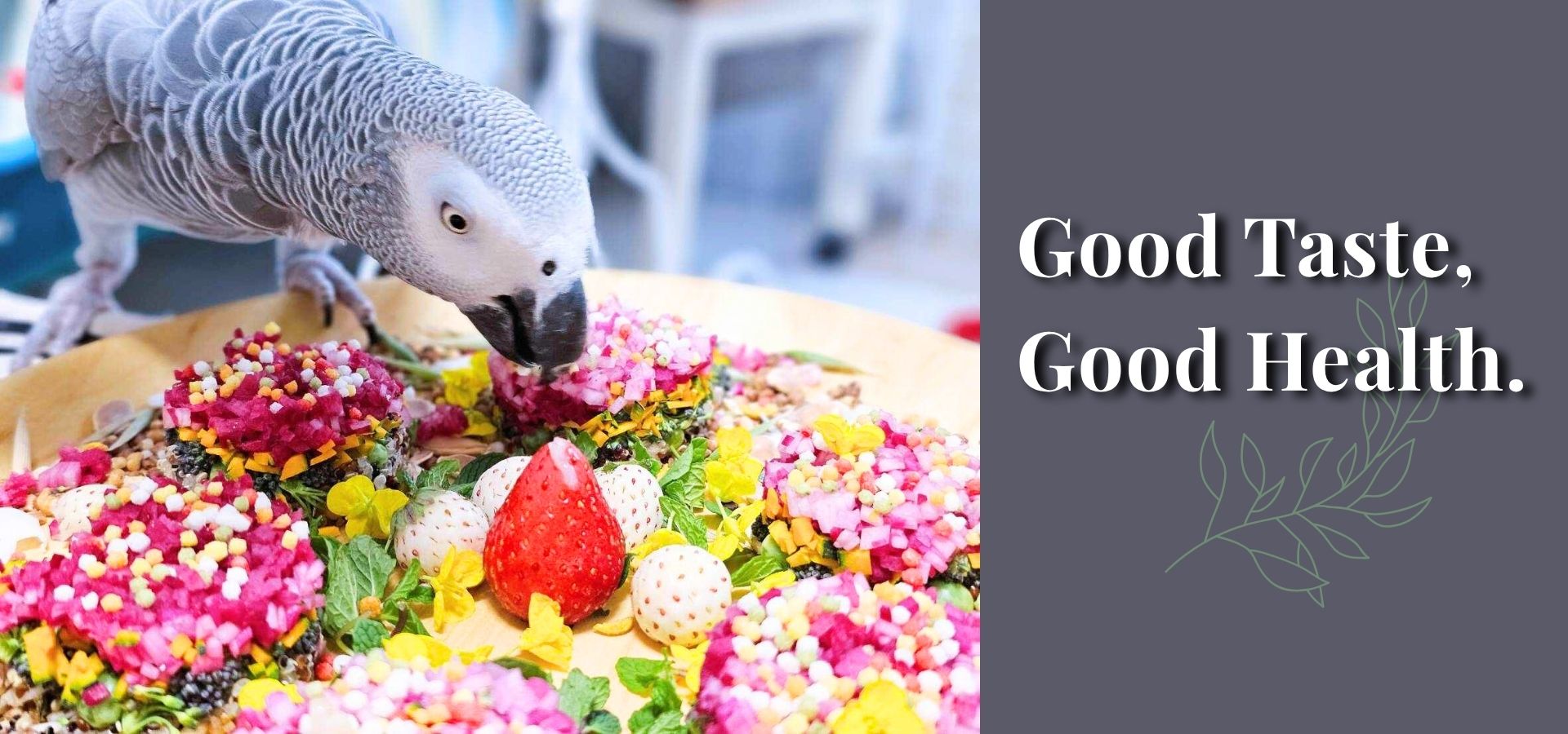 African grey parrot, eat, vegetable, fruit, Whole food