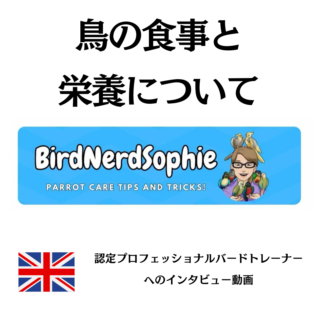 BirdNerdSophie 鳥の食事・栄養 インタビュー動画