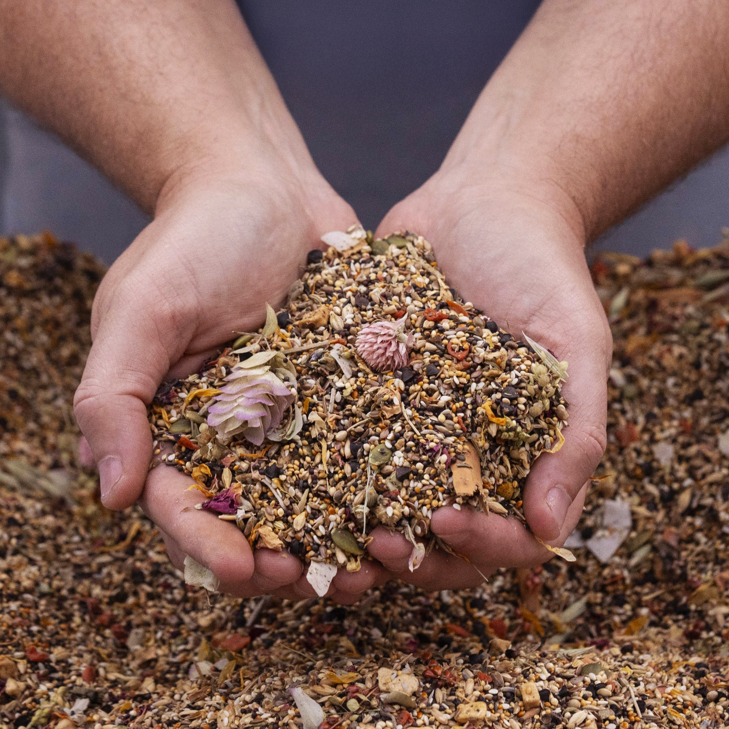 Close-up of millet blend, canary grass seed, buckwheat, oats, barley, flax, sesame, and more
