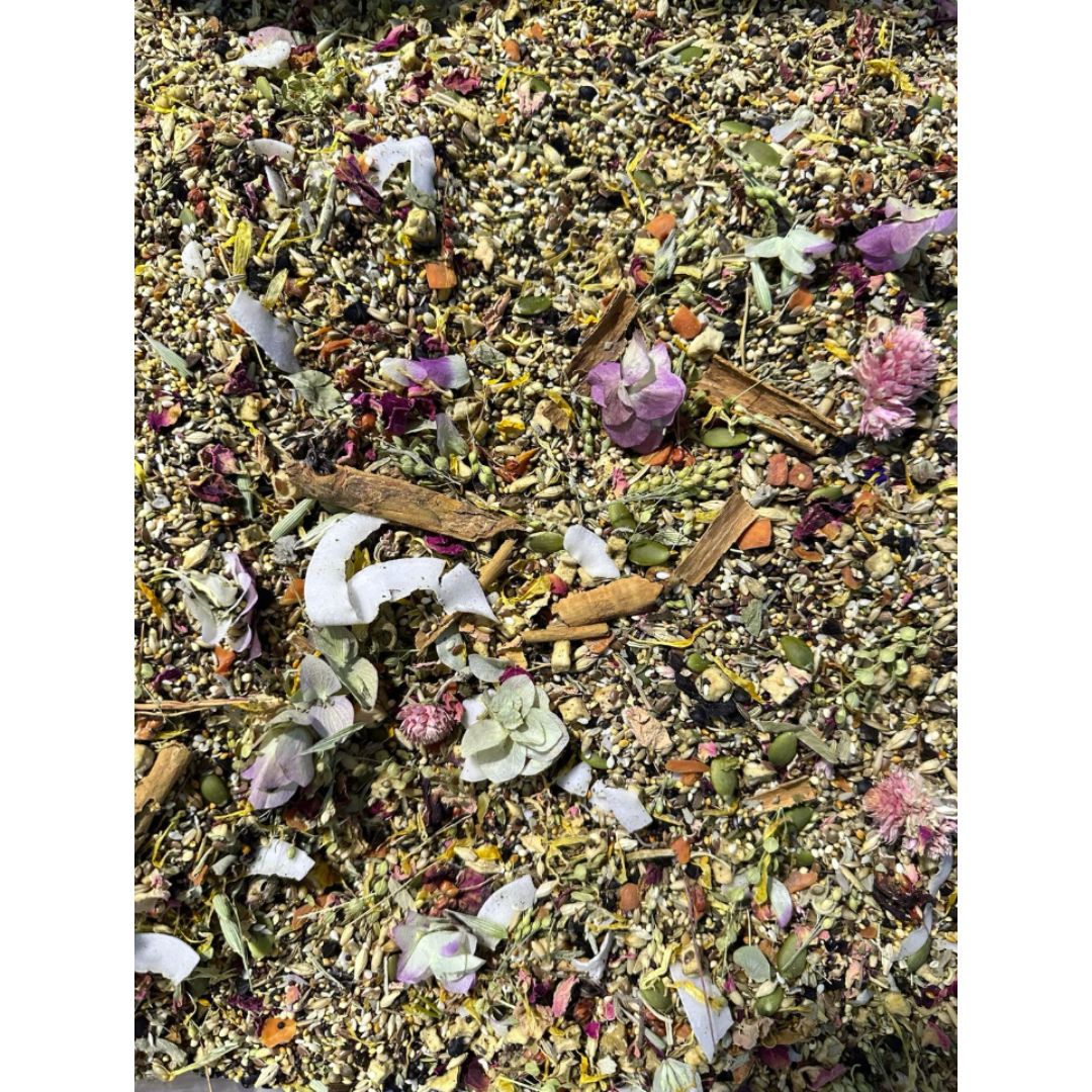 Biodiversity Natural Selection Blends branding for small Parrot, whole-food nutrition focus