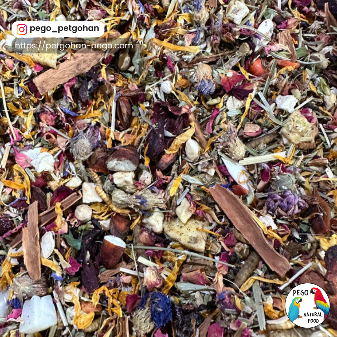 Close-up of Biodiversity Go Wild! Conservation Foraging Blend featuring dried flowers, herbs, seeds, nuts, bark, coconut pieces, fruit, pods, wood chips, and freeze-dried insects for small and medium birds.