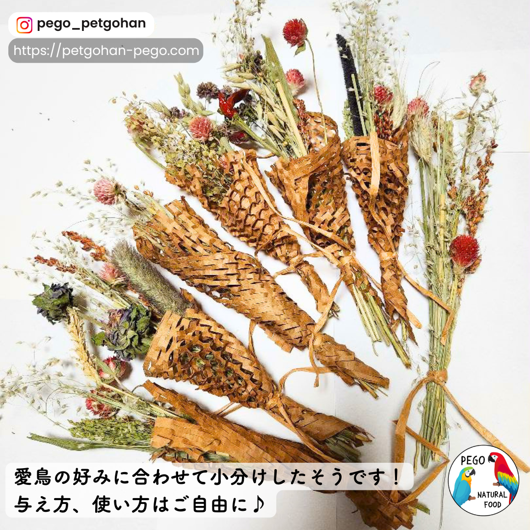 鸚鵡覓食花束
