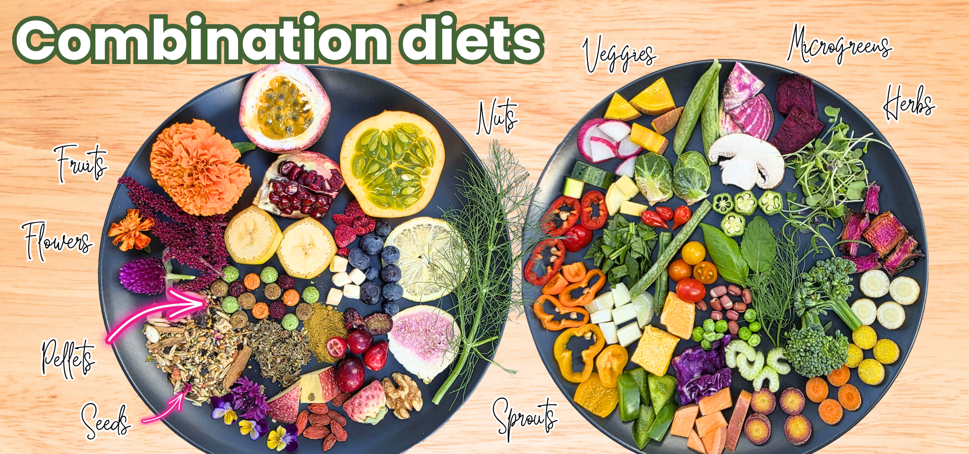 Combination Diets for parrots: a balanced mix of fresh whole foods, seeds, and pellets