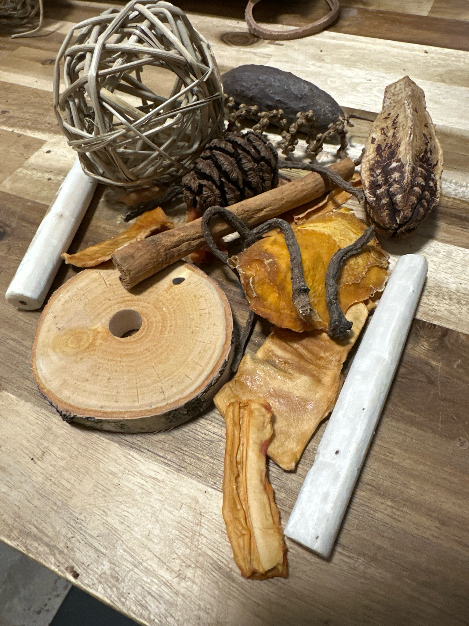 Fall Forest Forage