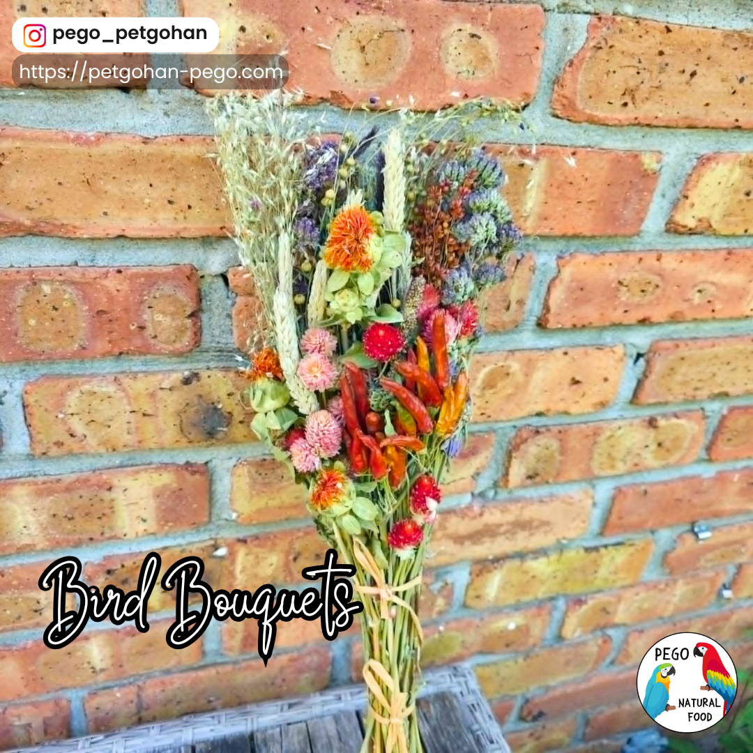 Dried Bird bouquet with flowers, grasses, and seed heads for Parrot foraging and natural enrichment