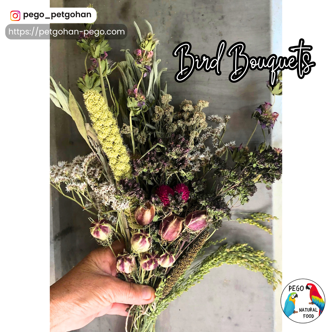 Hand holding a dried Bird bouquet with flowers, herbs, and seed heads for Parrot foraging and natural enrichment