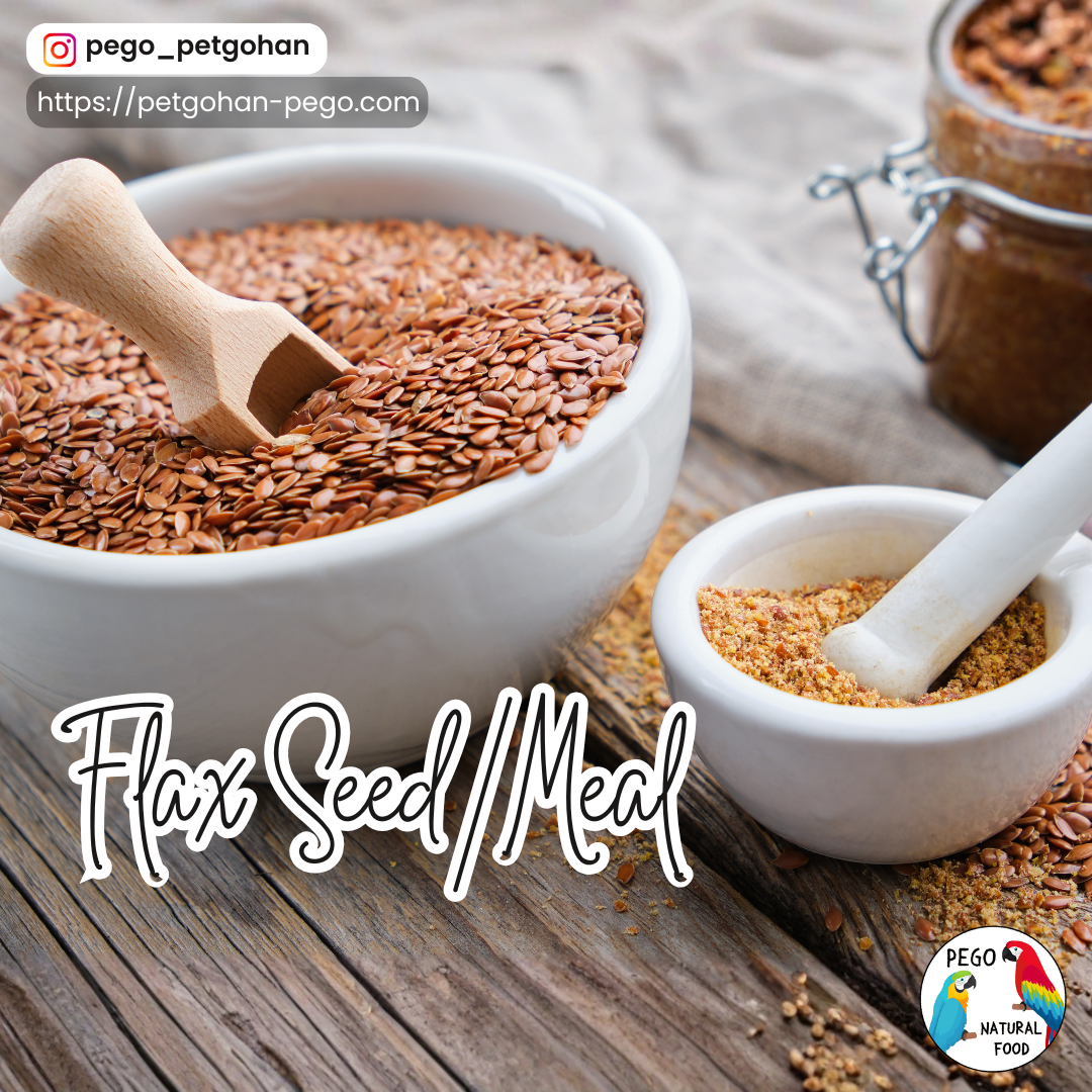 White bowls filled with whole flax seeds and ground flax meal placed on a wooden table, showing the texture and natural quality of the product. Ideal as a whole-food ingredient for parrots and small birds.