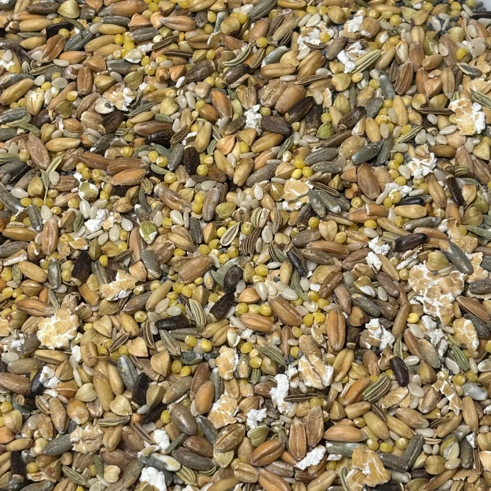 Healthy Parrot Seed and Grain Mix 500g