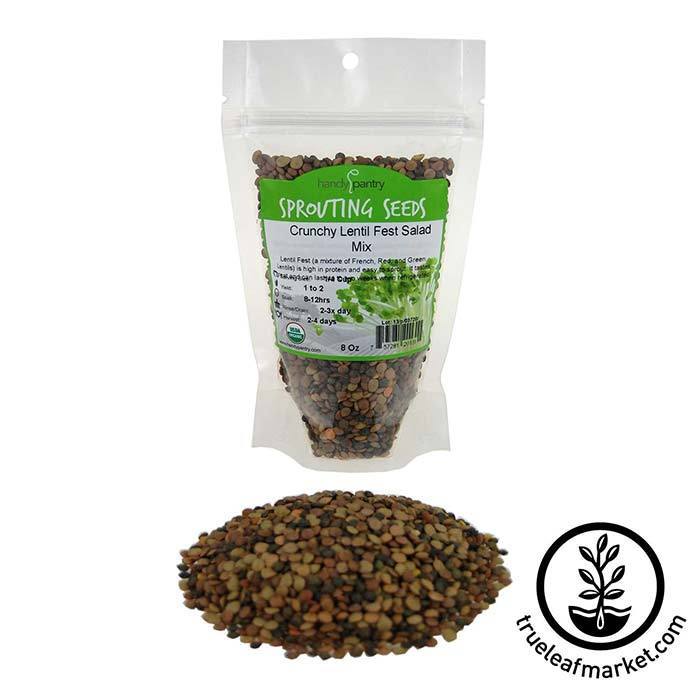 TLM Seeds