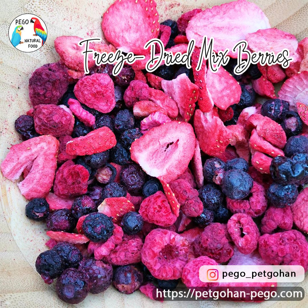 Freeze dried Mixed berries