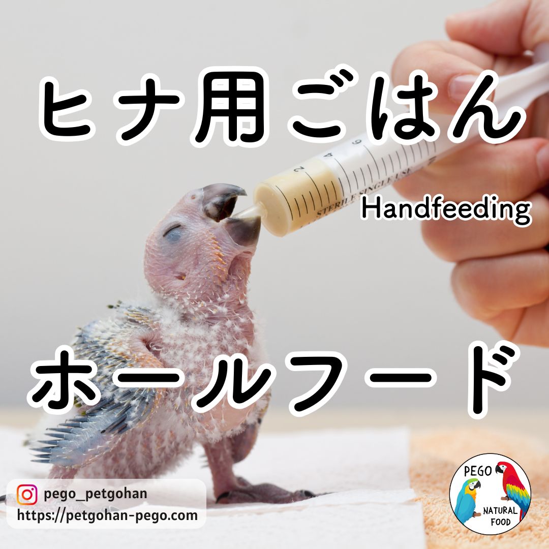 PHIT powder sprinkled over soaked or sprouted foods (chop) to aid digestion in adult birds