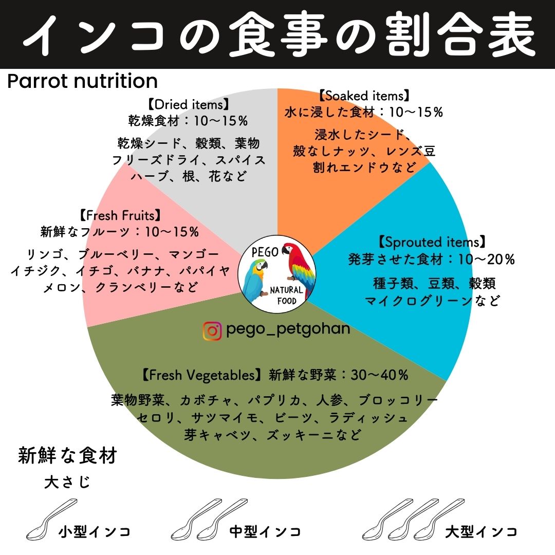インコ・オウムのホールフード食事割合表。新鮮な野菜30〜40%、発芽させた食品(種子・豆類・マイクログリーン)10〜20%、Soak seed(浸水シード)10〜15%、乾燥シード10〜15%、新鮮フルーツ10〜15%のバランスで構成した給餌ガイド。小型・中型・大型インコの適切な給餌量の目安も掲載。健康維持のための自然食・ホールフード栄養ガイドラインを示す図表。