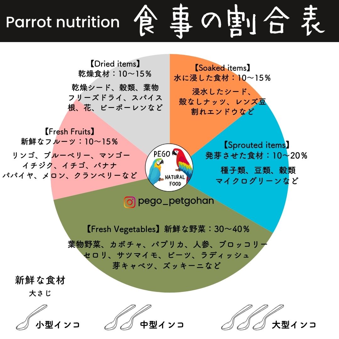 インコ・オウムのホールフード食事割合表。新鮮な野菜30〜40%、発芽させた食品(種子・豆類・マイクログリーン)10〜20%、Soak seed(浸水シード)10〜15%、乾燥シード10〜15%、新鮮フルーツ10〜15%のバランスで構成した給餌ガイド。小型・中型・大型インコの適切な給餌量の目安も掲載。健康維持のための自然食・ホールフード栄養ガイドラインを示す図表。