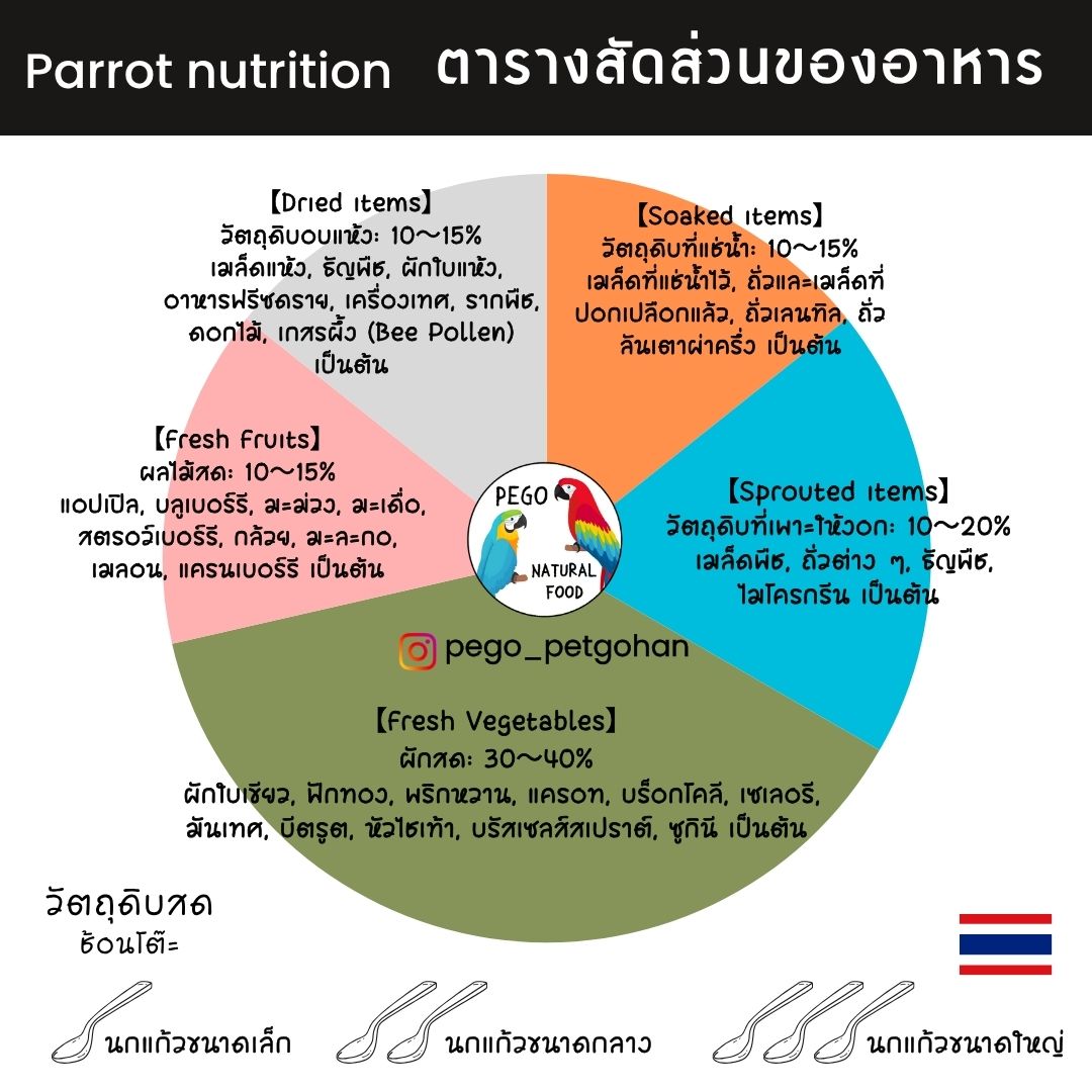 ตารางสัดส่วนอาหารโฮลฟู้ดสำหรับนกแก้วและนกซันคอนัวร์ ประกอบด้วยผักสด 30–40% อาหารงอก (เมล็ดธัญพืช ถั่ว และไมโครกรีน) 10–20% เมล็ดแช่น้ำ 10–15% เมล็ดแห้ง 10–15% และผลไม้สด 10–15% รวมถึงคำแนะนำปริมาณอาหารสำหรับนกขนาดเล็ก กลาง และใหญ่ แผนผังนี้นำเสนอแนวทางโภชนาการจากอาหารธรรมชาติแบบโฮลฟู้ดเพื่อช่วยรักษาสุขภาพของนก