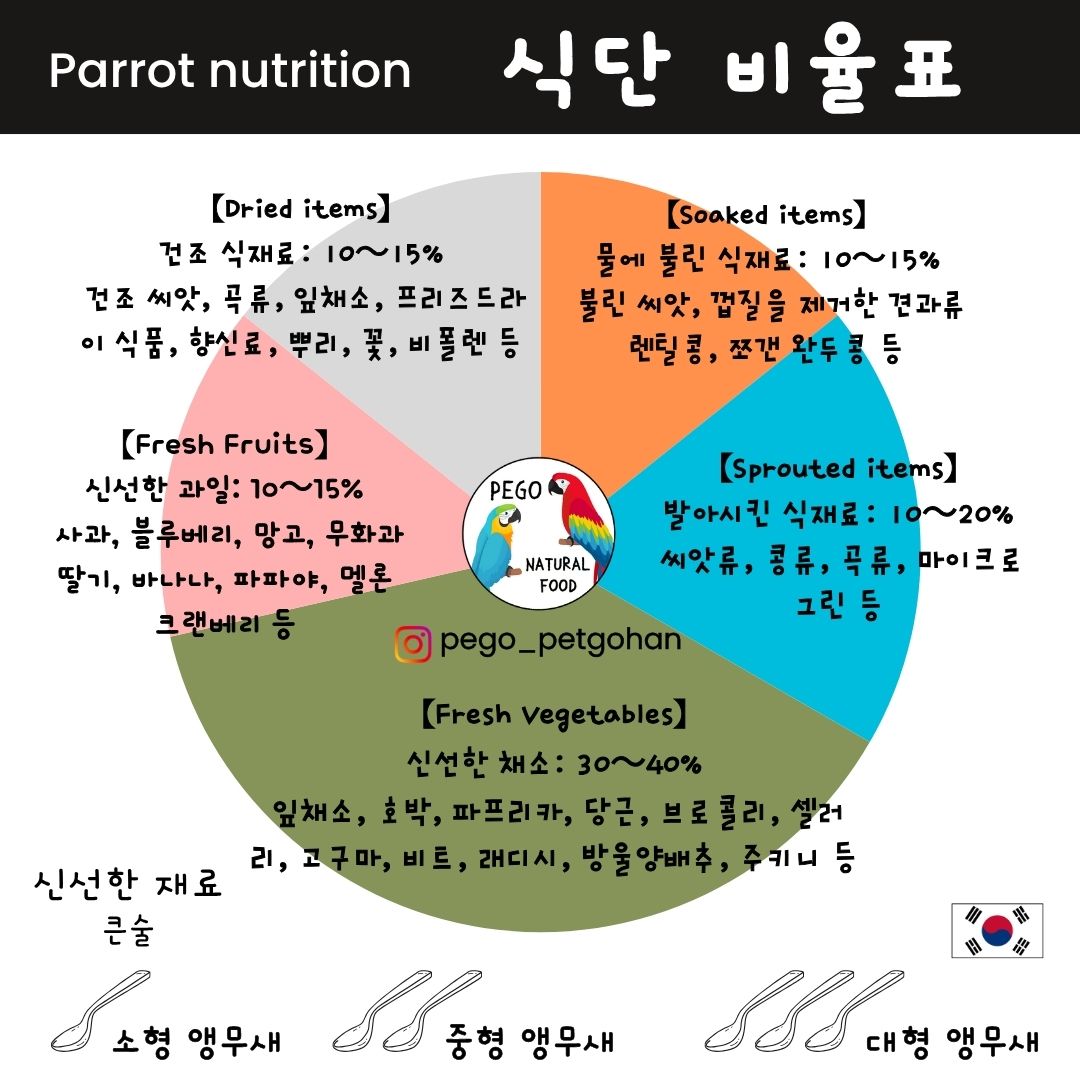 앵무새와 패럿을 위한 홀푸드 식단 비율표입니다. 신선한 채소 30~40%, 발아 식품(Sprouted foods: 씨앗, 콩류, 마이크로그린) 10~20%, 침수 식품(Soaked foods: 불린 씨앗) 10~15%, 건조 씨앗 10~15%, 신선한 과일 10~15%로 구성된 균형 잡힌 급여 가이드입니다. 소형·중형·대형 앵무의 적절한 급여량 기준도 함께 표시되어 있습니다. 건강 유지를 위한 자연식·홀푸드 영양 가이드라인을 제시하는 도표입니다.