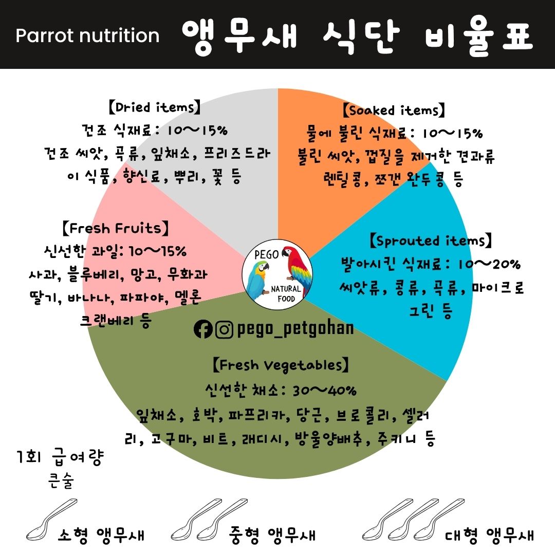 앵무새와 패럿을 위한 홀푸드 식단 비율표입니다. 신선한 채소 30~40%, 발아 식품(Sprouted foods: 씨앗, 콩류, 마이크로그린) 10~20%, 침수 식품(Soaked foods: 불린 씨앗) 10~15%, 건조 씨앗 10~15%, 신선한 과일 10~15%로 구성된 균형 잡힌 급여 가이드입니다. 소형·중형·대형 앵무의 적절한 급여량 기준도 함께 표시되어 있습니다. 건강 유지를 위한 자연식·홀푸드 영양 가이드라인을 제시하는 도표입니다.