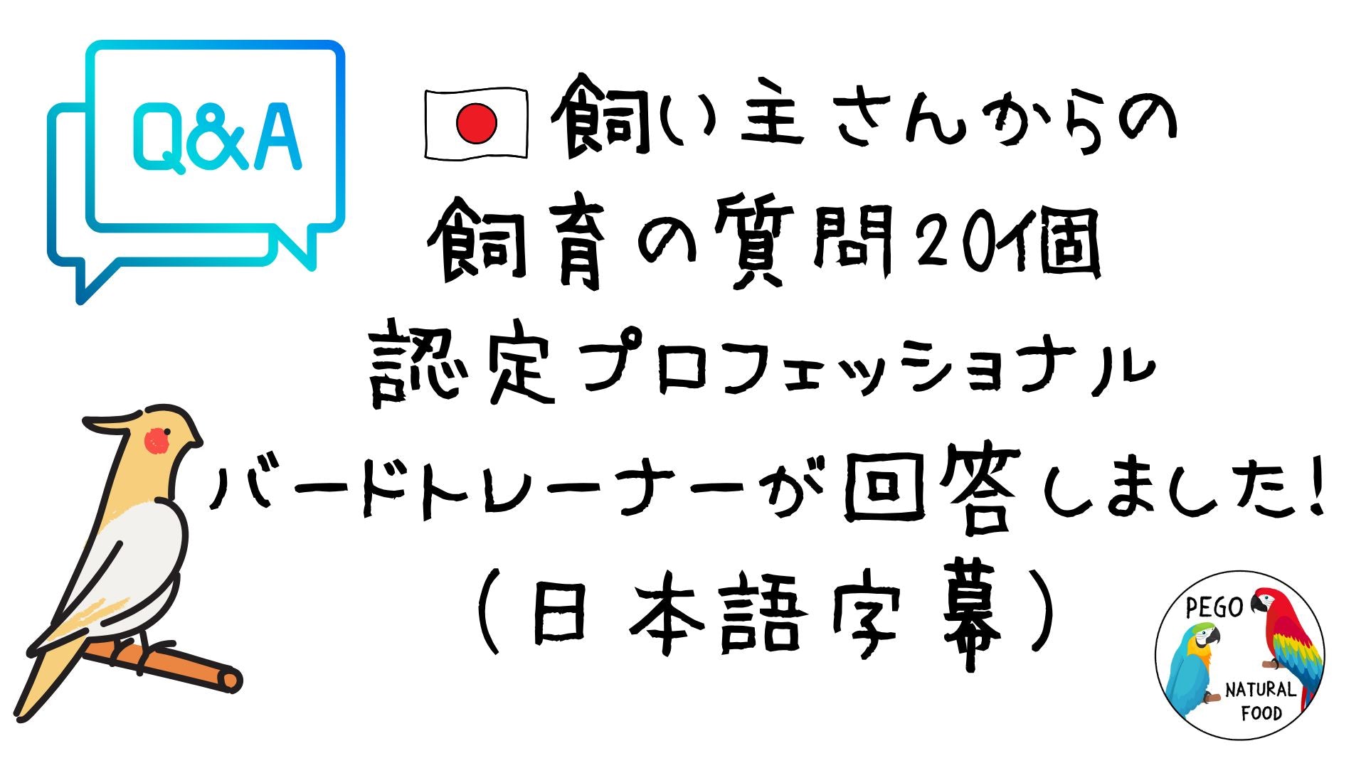 【Q&A動画】フォロワーからの質問に回答