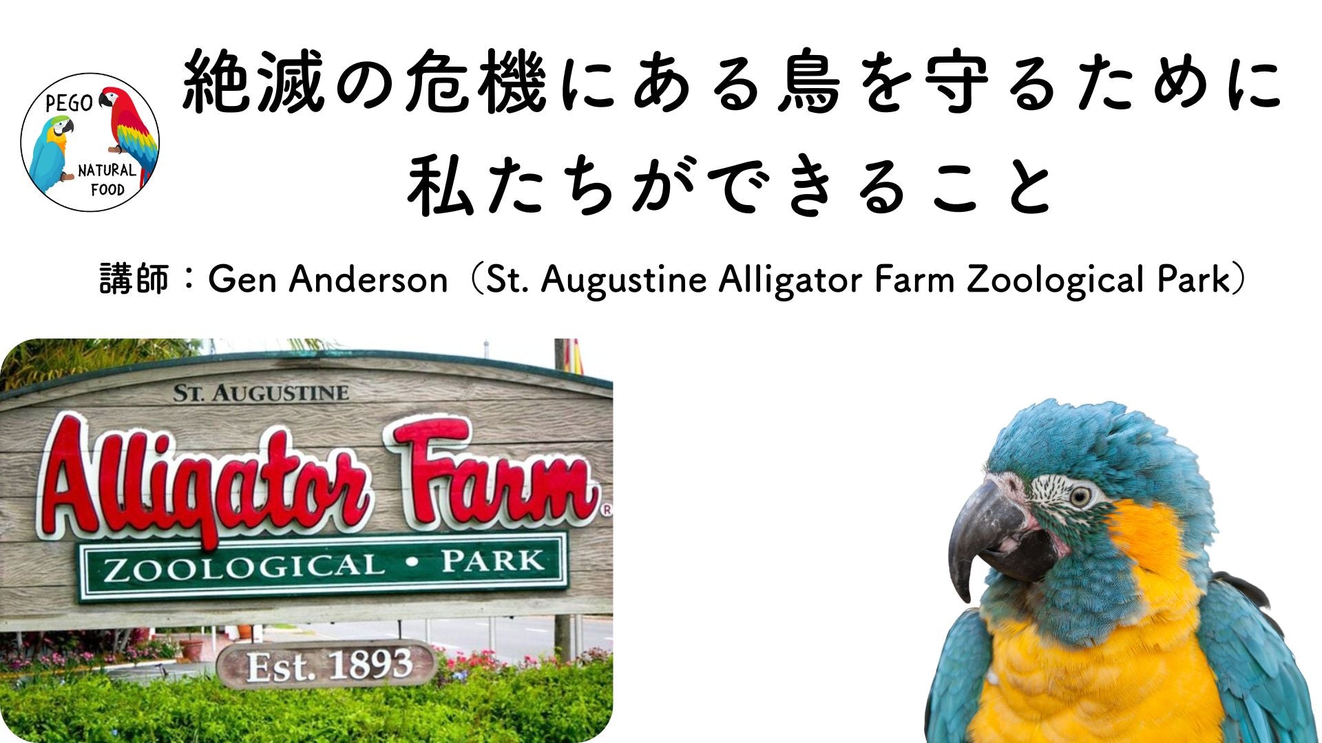 Session 04:絶滅の危機にある鳥を守るために私たちができること