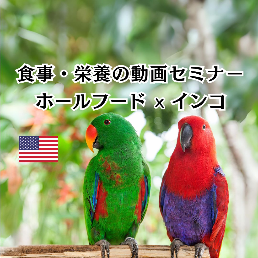 Session 01：食物營養研討會