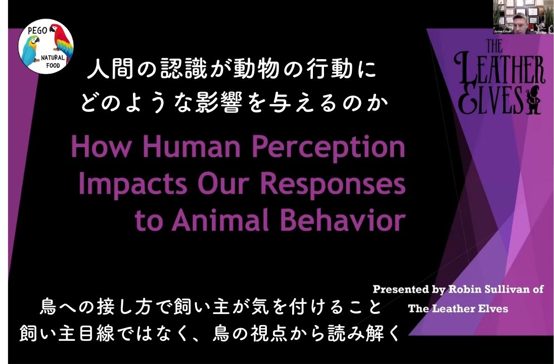 Session 07:人間の認識が動物の行動へどのような影響を与えるか