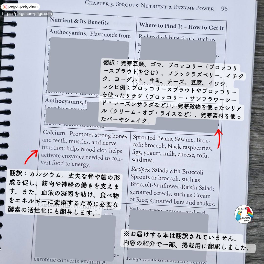 発芽容器/Easy Sprout Sprouter