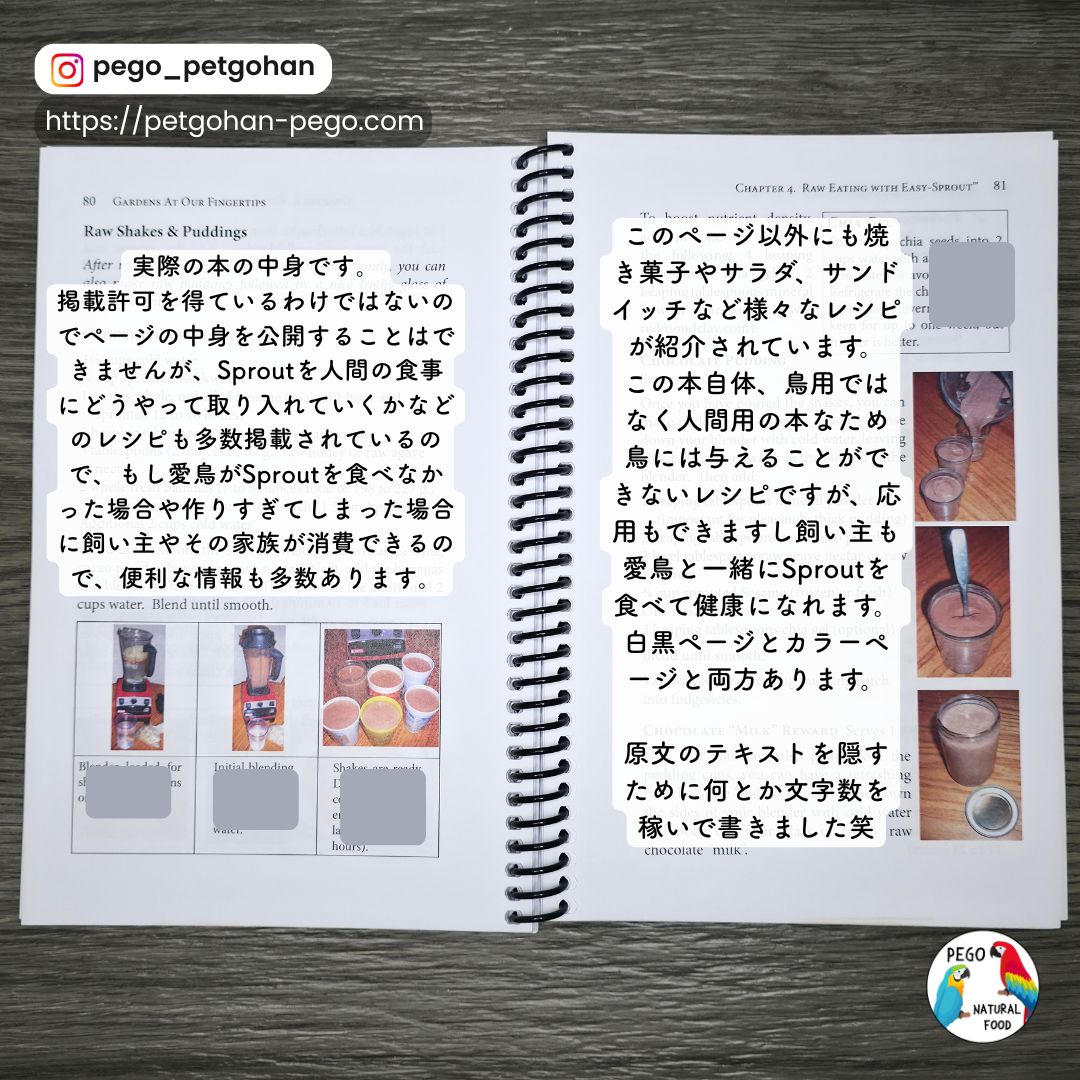 発芽容器/Easy Sprout Sprouter