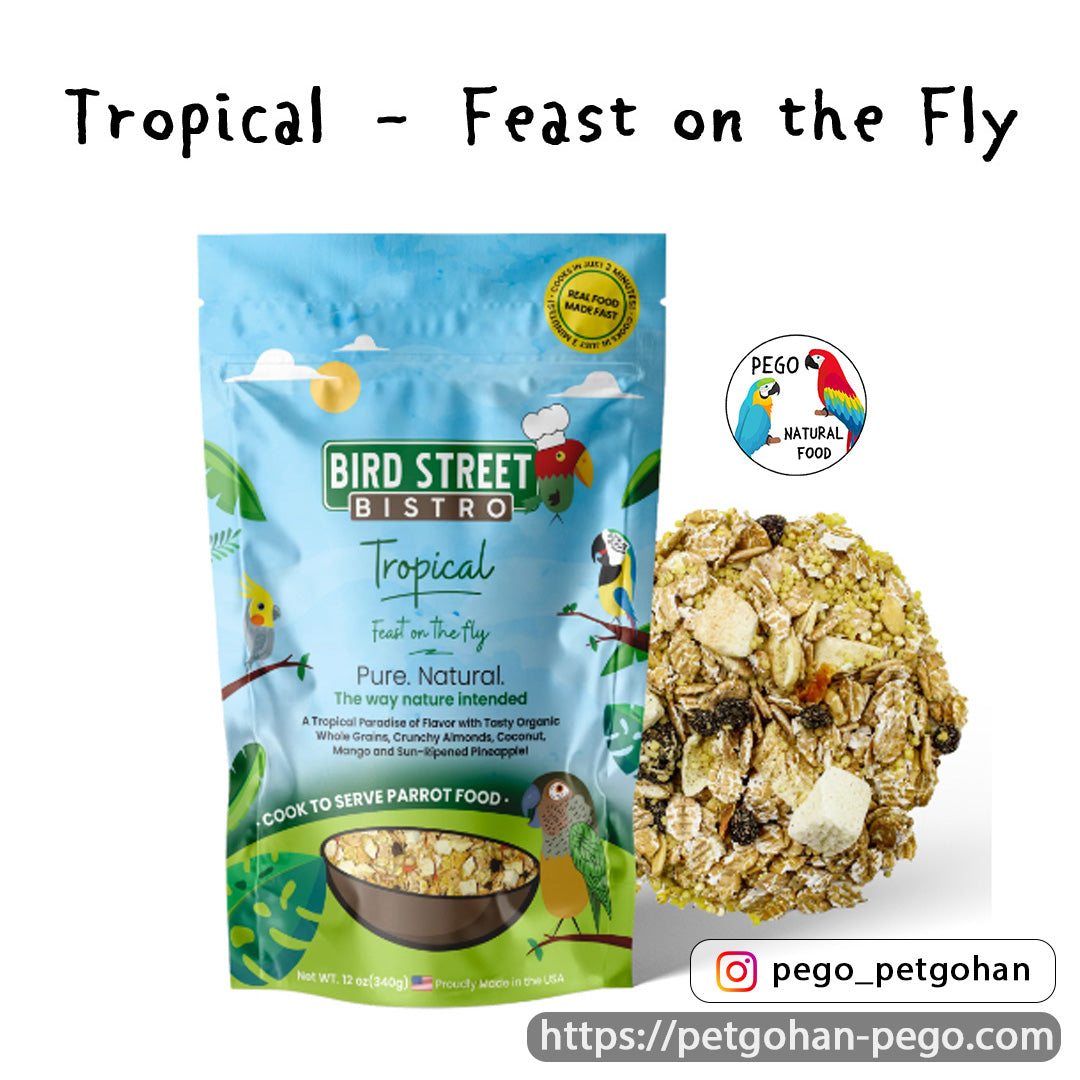 ⑧ Tropical Feast on the Fly