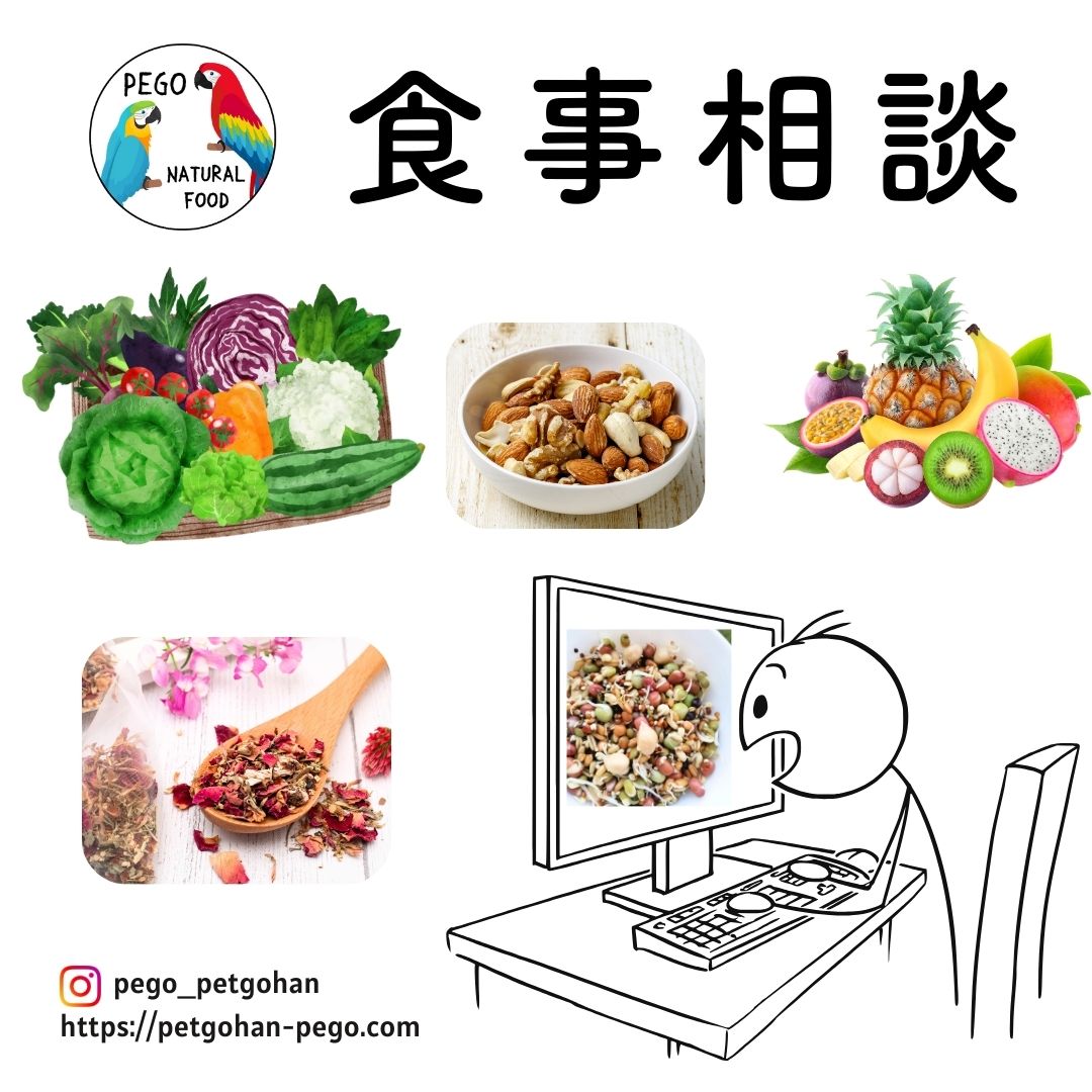 食事相談