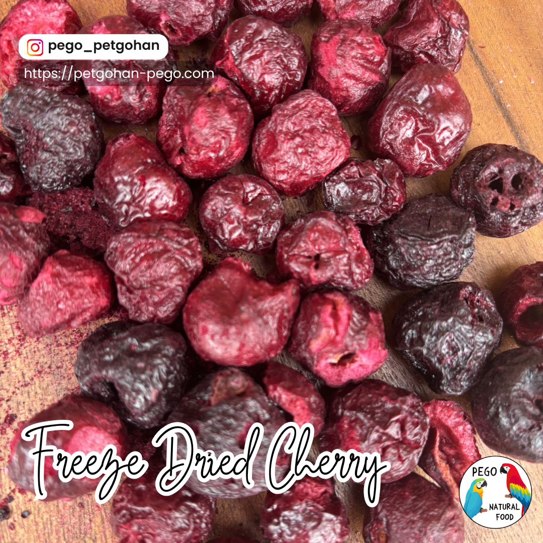 Freeze Dried Fruits