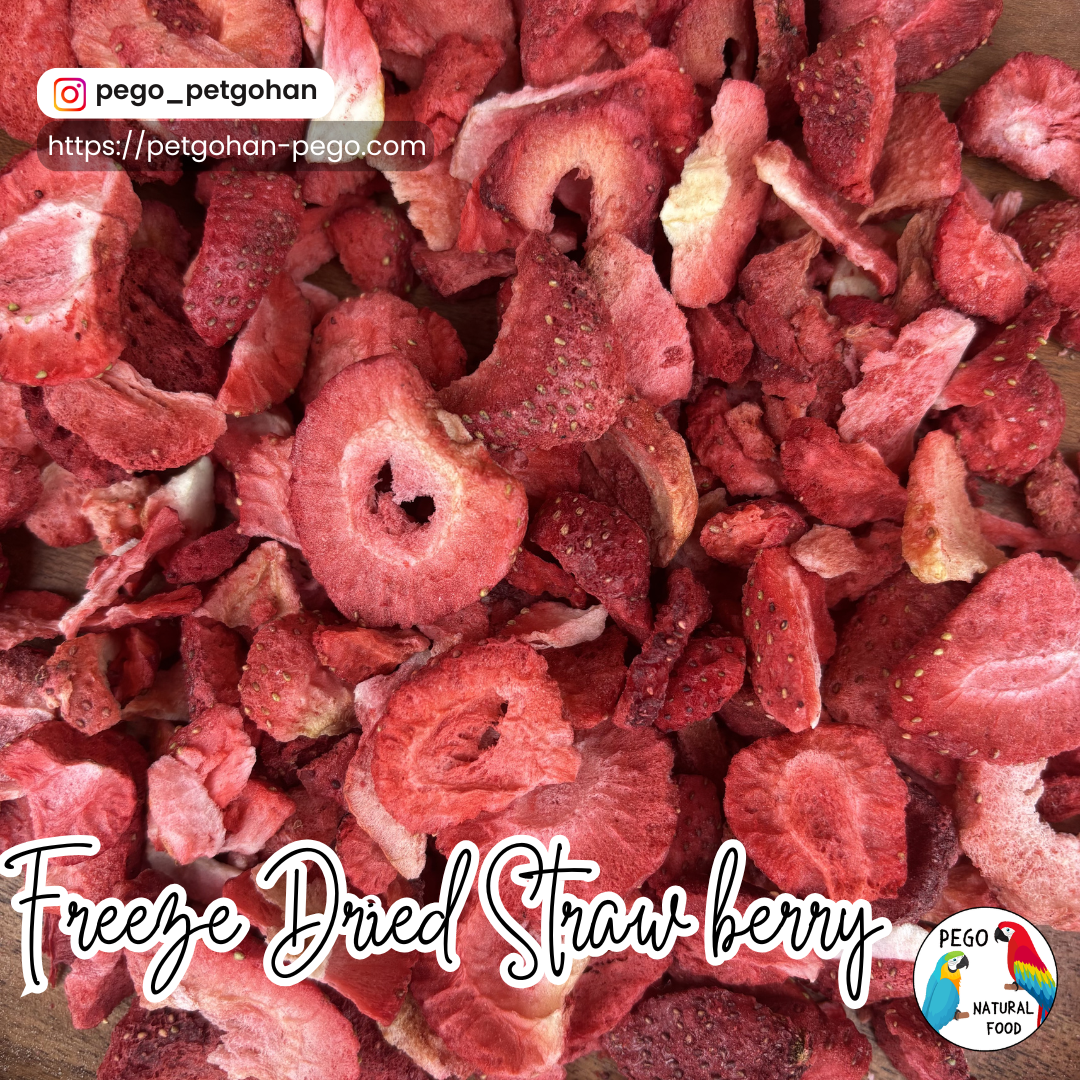 Freeze Dried Fruits