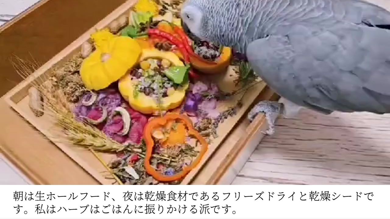 ペゴ x ばにらさんちの鳥メシ 動画