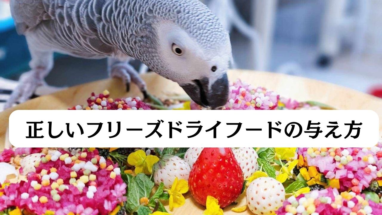 ペゴ x ばにらさんちの鳥メシ 動画