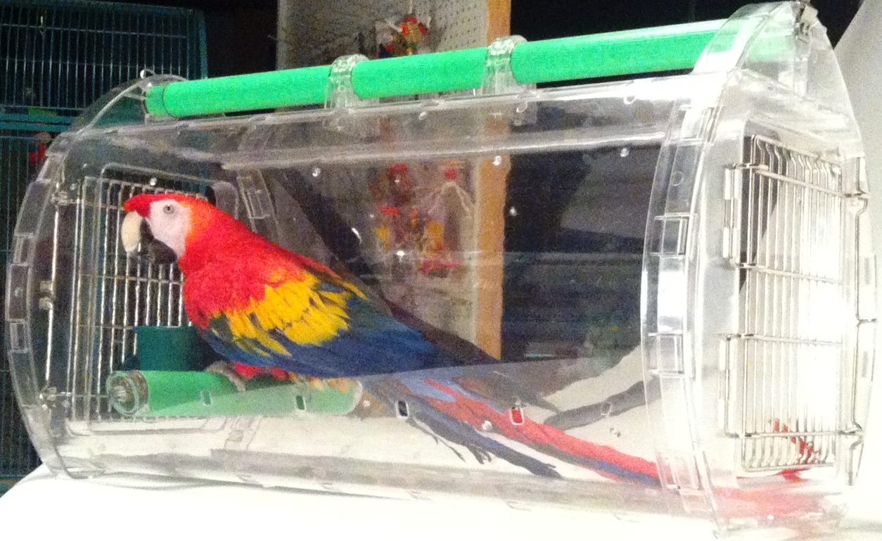 大型インコ用 バードキャリー 50012