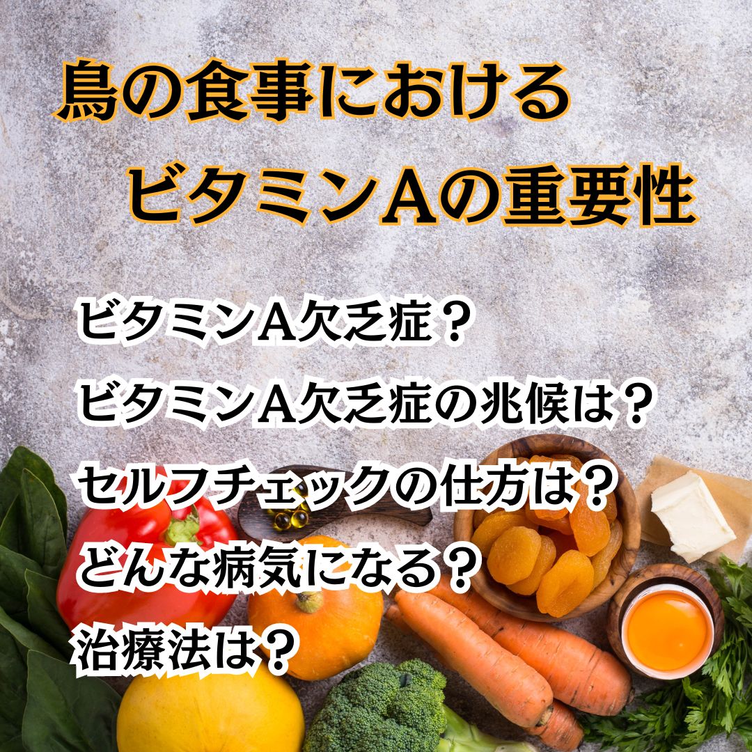 鳥の食事におけるビタミンAの重要性