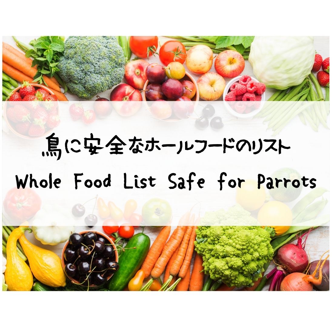 鳥に安全なホールフードリスト／Whole Food List Safe for Parrots