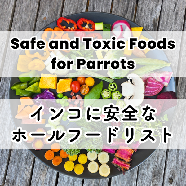 Safe and Toxic Foods for Parrots
