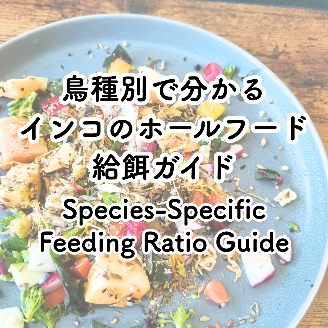 Whole Food Diet Breakdown for Commonly Kept Parrot Species