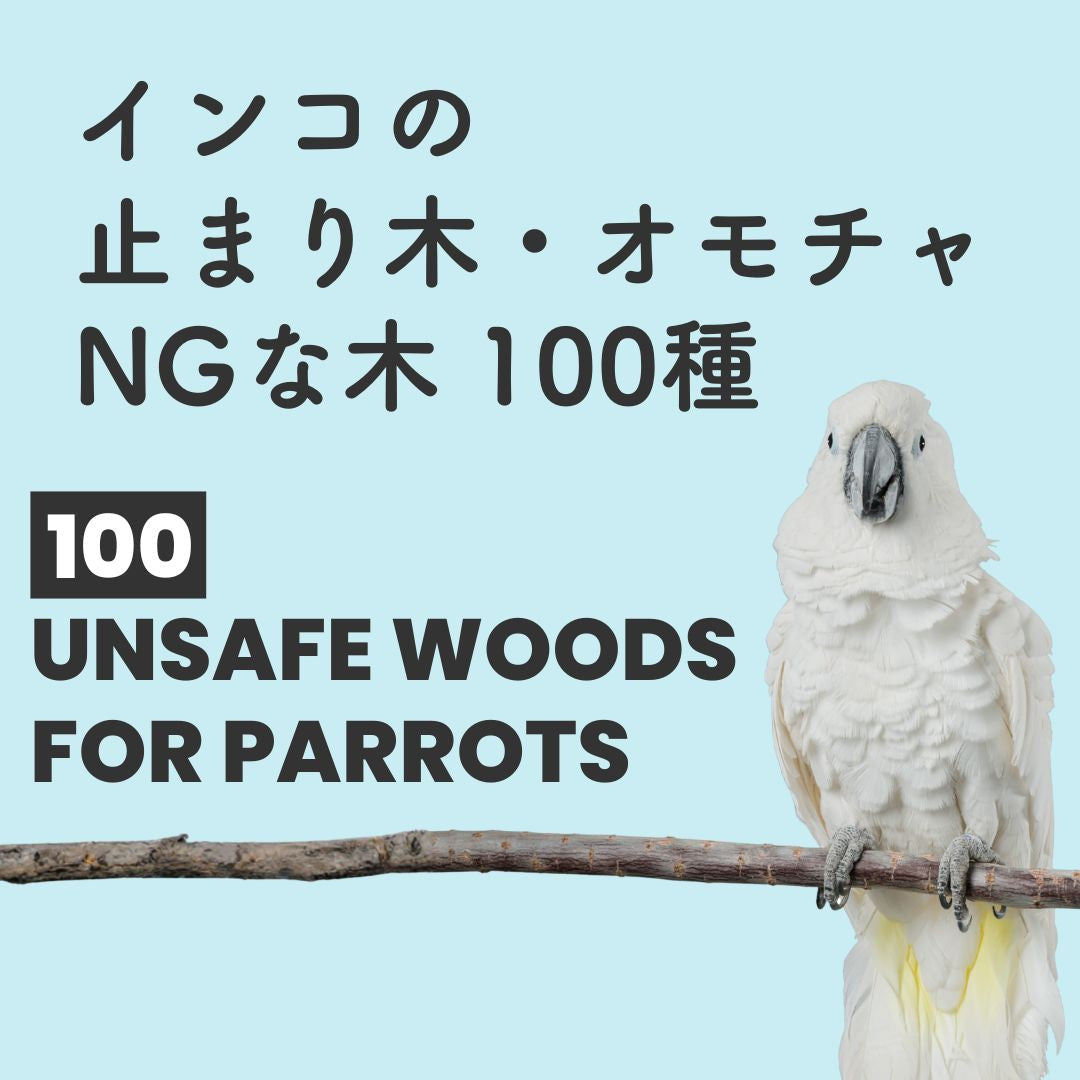 Blue infographic titled “100 Unsafe Woods for Parrots” with a white cockatoo perched on a branch, presenting a compiled list of wood types considered unsafe for parrot perches.