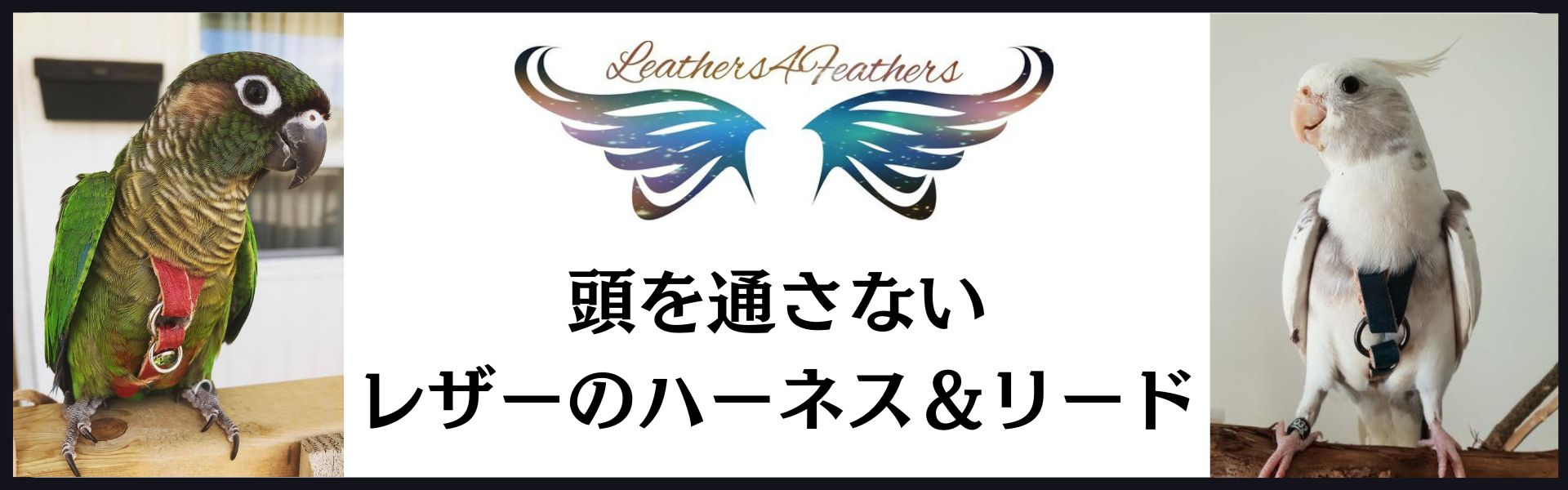 レザーハーネス