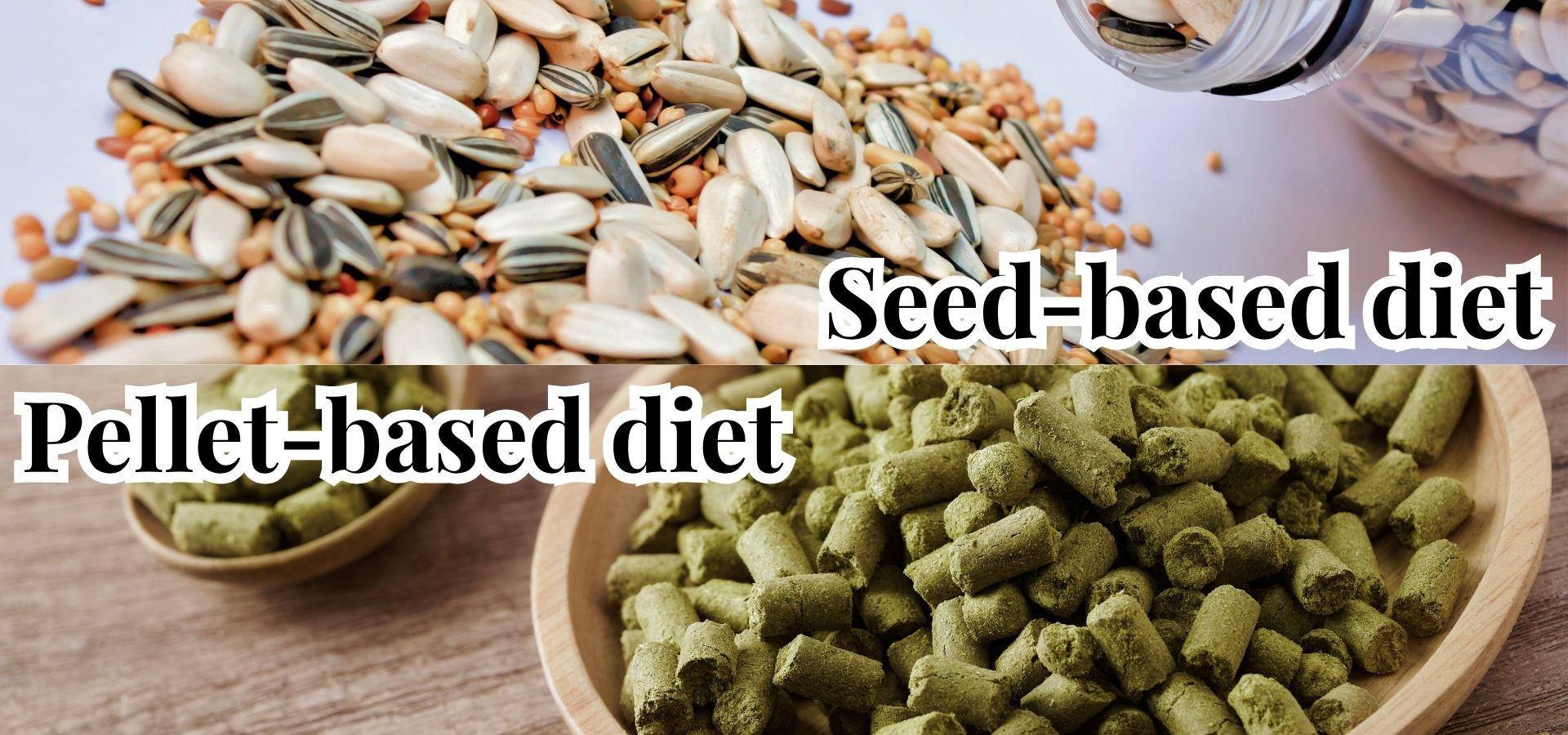 Step-by-step prep: chop whole foods, add seeds, finish with pellets for balance