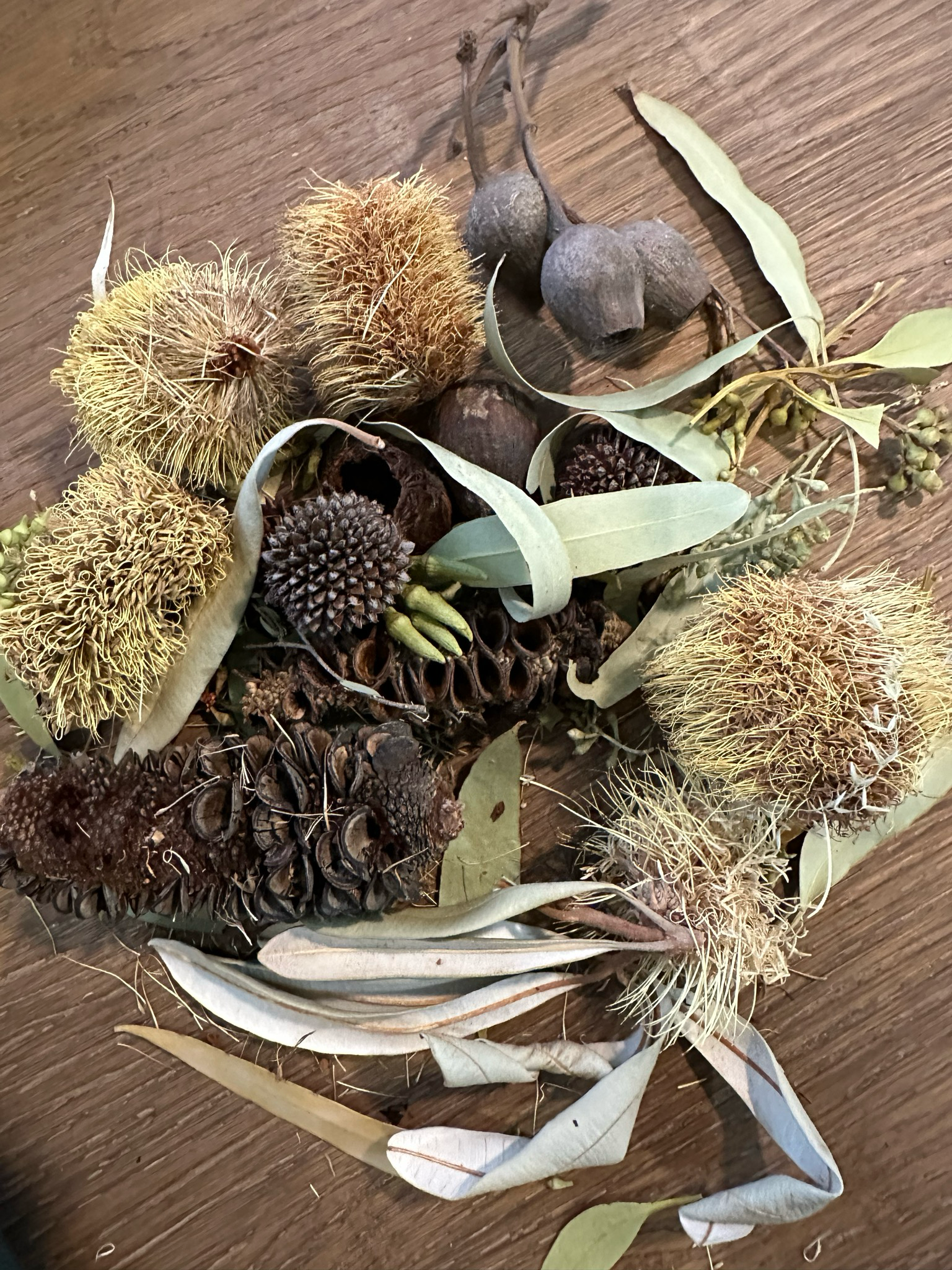 Biodiversity Go Wild Down Under! Australian Foraging Blend ‘Too!