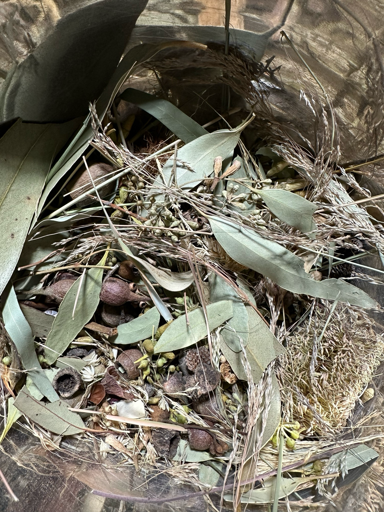 Biodiversity Go Wild! Small CHUNKY Down Under! Australian Foraging Blend