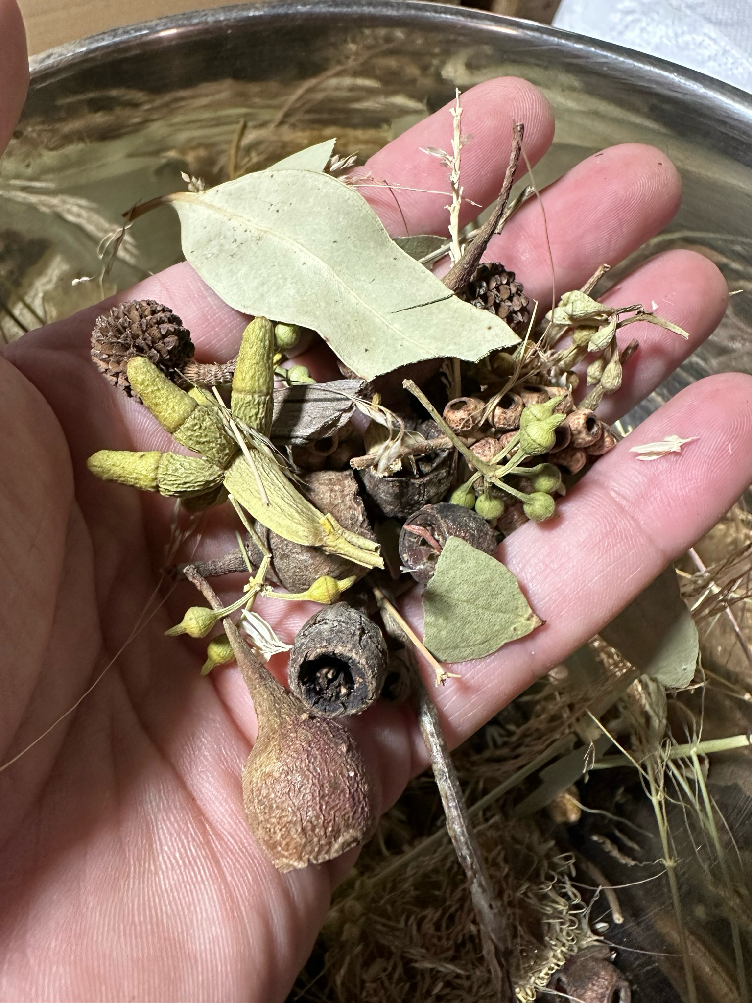 Biodiversity Go Wild! Small CHUNKY Down Under! Australian Foraging Blend